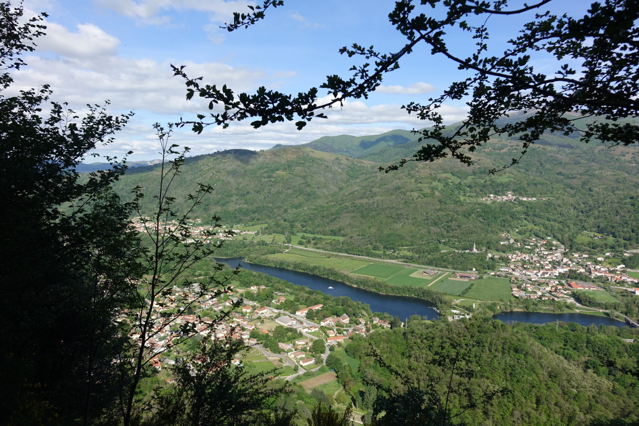 D√©couverte botanique : Plantes autour de nos villages