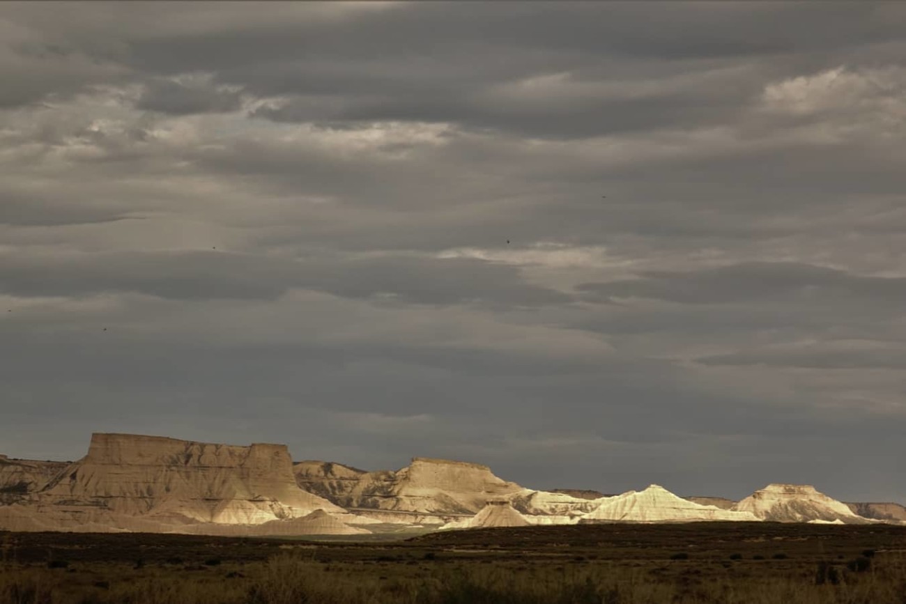 Les Bardenas, fleurs du désert - Patrick Canal